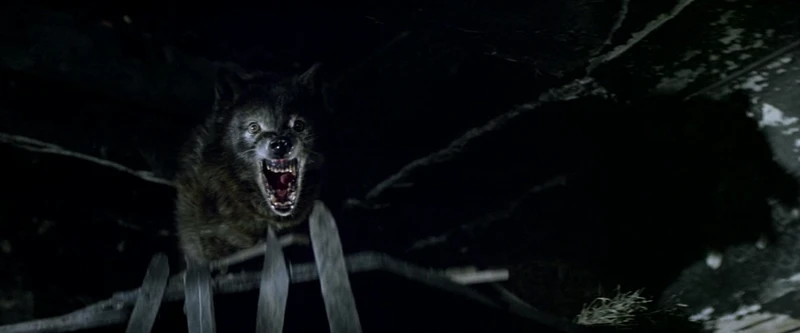 They're normal wolves with BIG mouths. They're normal wolves with BIG mouths.