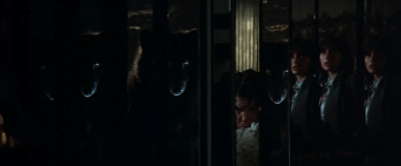 They had good fun with the mirrored blinds in the rich guy's apartment. They had good fun with the mirrored blinds in the rich guy's apartment.