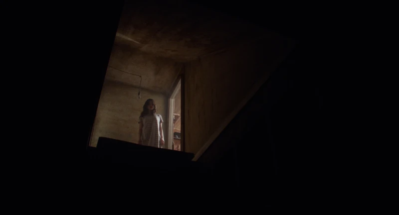 Jenna locking herself out of the rest of the plot. Jenna locking herself out of the rest of the plot.