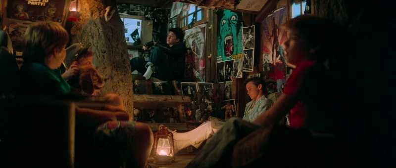 and they have a view into the neighbor girl's window and they have a view into the neighbor girl's window