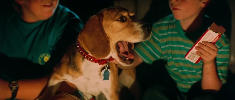 the mummy slayer the mummy slayer