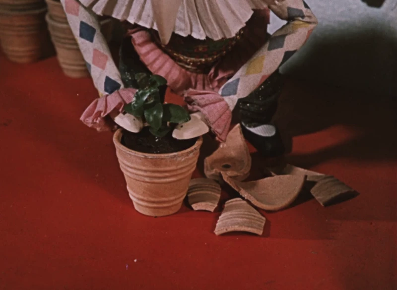 it's good that he owns a large flower pot collection it's good that he owns a large flower pot collection