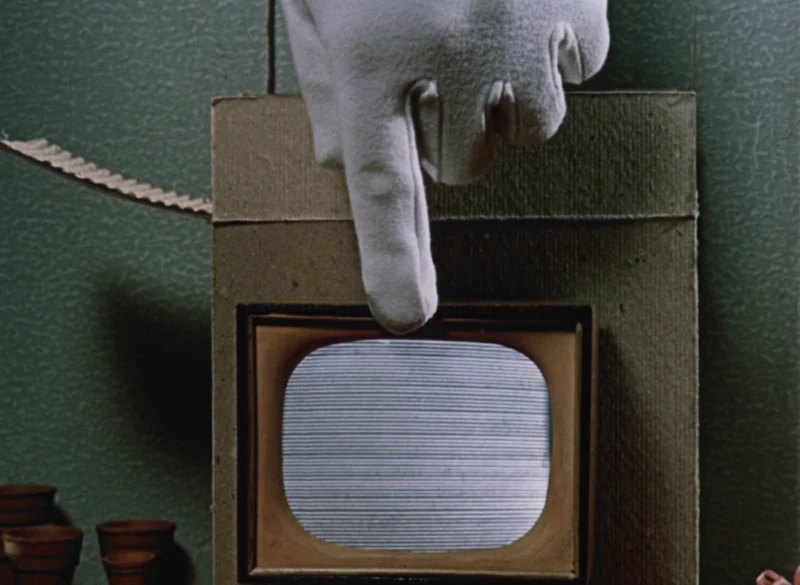 it raises a strong argument it raises a strong argument