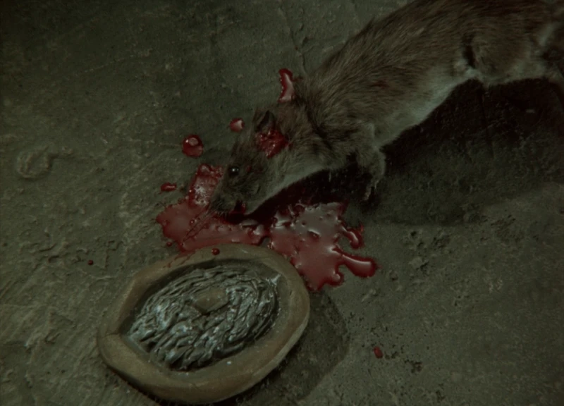 how do you animate a rat? how do you animate a rat?