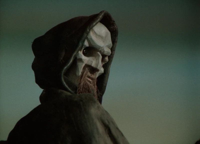 don't cross magical animal benders don't cross magical animal benders