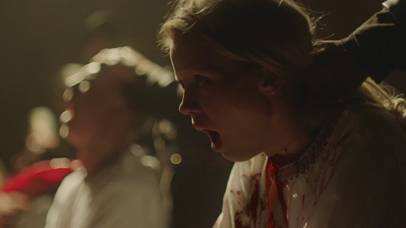 fun for the whole family!