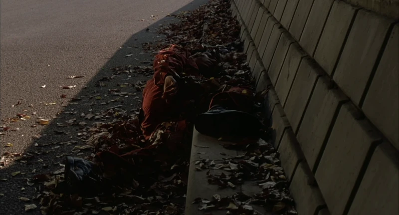 it's a comedy it's a comedy