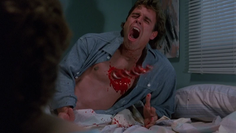 a gently perforated boyfriend a gently perforated boyfriend