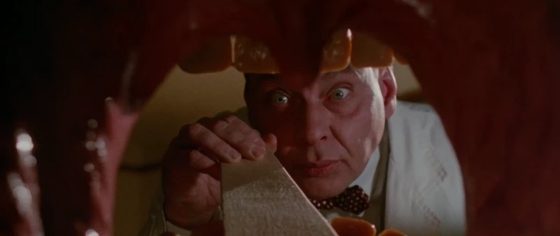 the cameraman is having fun the cameraman is having fun