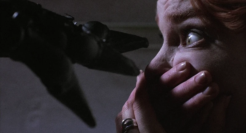 maybe the robot just felt sorry for her