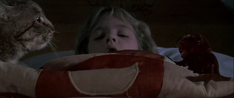 aforementioned cat to the rescue aforementioned cat to the rescue